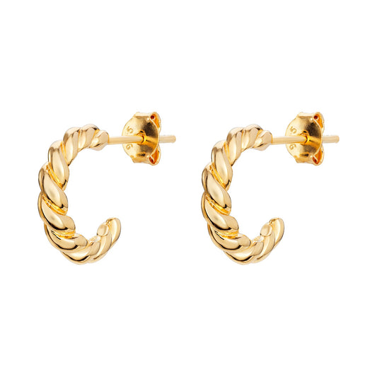 Braided Hoop Earrings