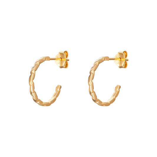 Hammered Hoop Earrings